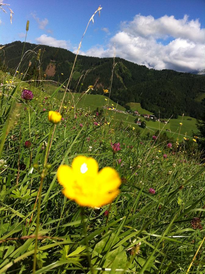 Hotel Goetschlhof Schladming Zewnętrze zdjęcie